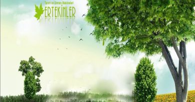 ERTEKİNLER TİCARET ERTEKİNLER TİCARET